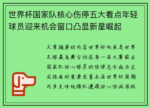 世界杯国家队核心伤停五大看点年轻球员迎来机会窗口凸显新星崛起